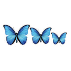 PALC-05 CIRCA 3D Butterfly Acrylic Prints Set of 3_1