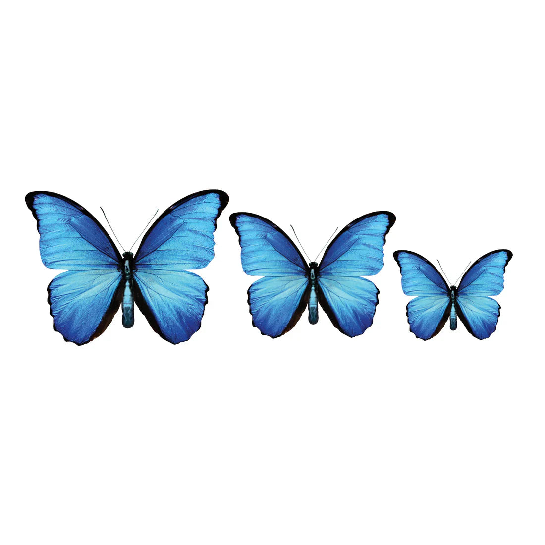 PALC-05 CIRCA 3D Butterfly Acrylic Prints Set of 3_1