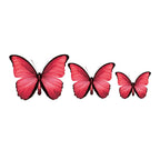 PALC-05 CIRCA 3D Butterfly Acrylic Prints Set of 3_3