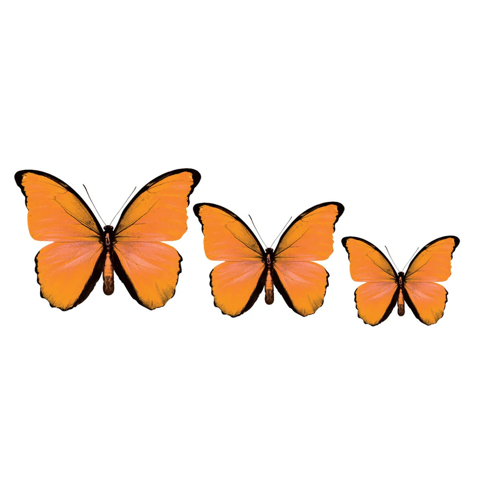PALC-05 CIRCA 3D Butterfly Acrylic Prints Set of 3_4