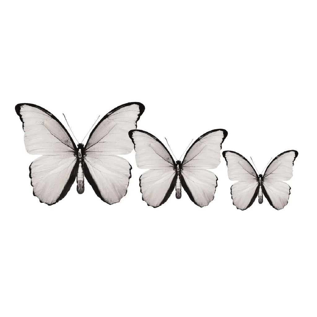 PALC-05 CIRCA 3D Butterfly Acrylic Prints Set of 3_5