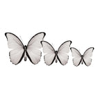 PALC-05 CIRCA 3D Butterfly Acrylic Prints Set of 3_5