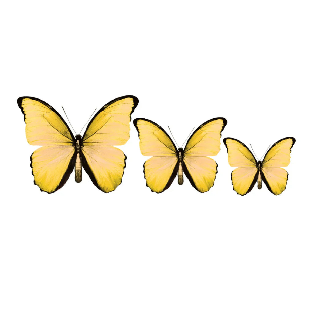 PALC-05 CIRCA 3D Butterfly Acrylic Prints Set of 3_6