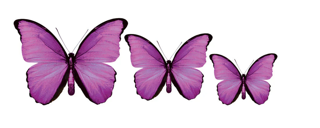 PALC-05 CIRCA 3D Butterfly Acrylic Prints Set of 3_7