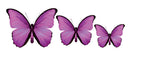 PALC-05 CIRCA 3D Butterfly Acrylic Prints Set of 3_7