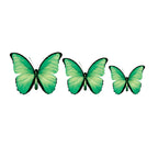 PALC-05 CIRCA 3D Butterfly Acrylic Prints Set of 3_8