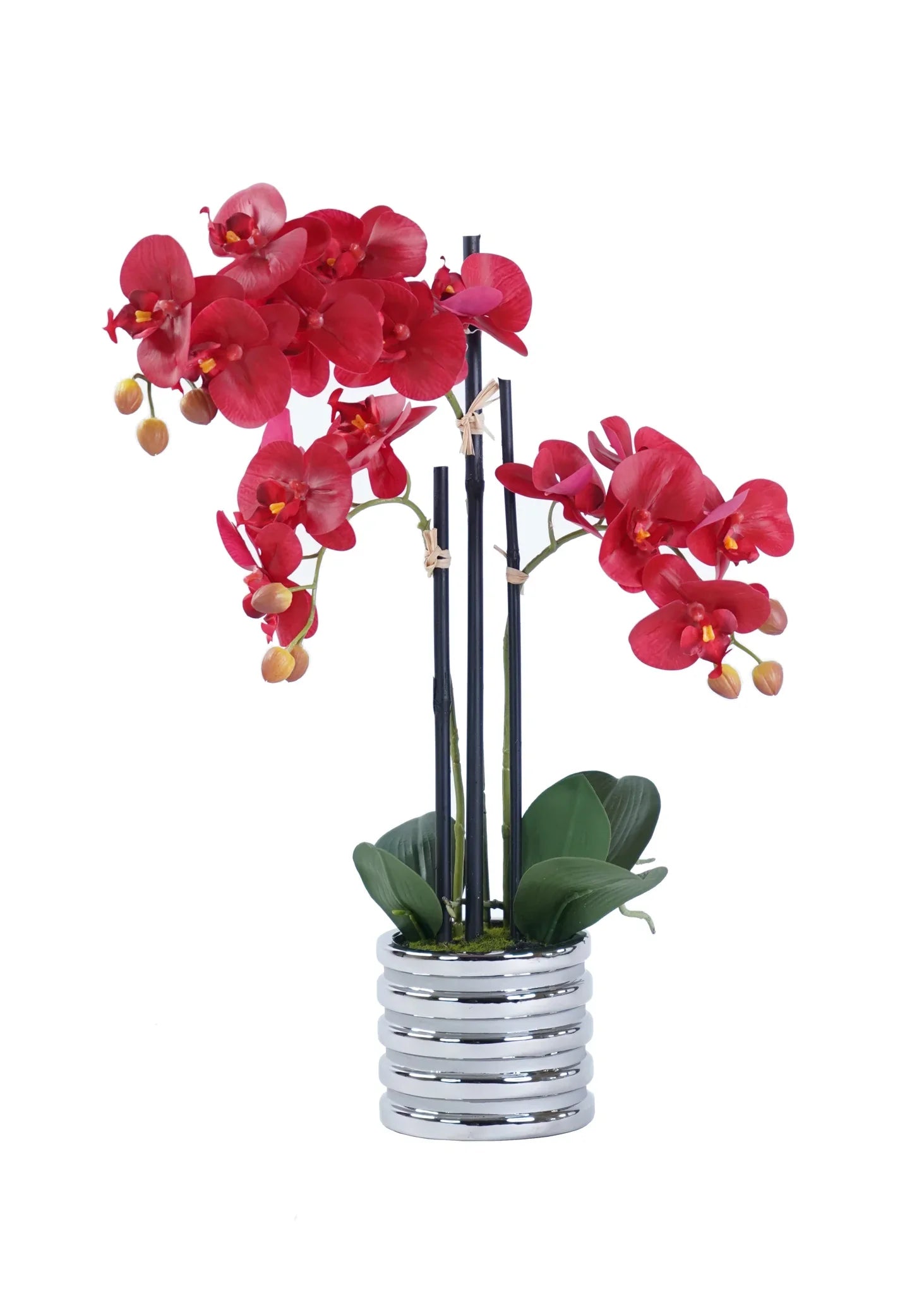 Orchid Arrangement Decor
