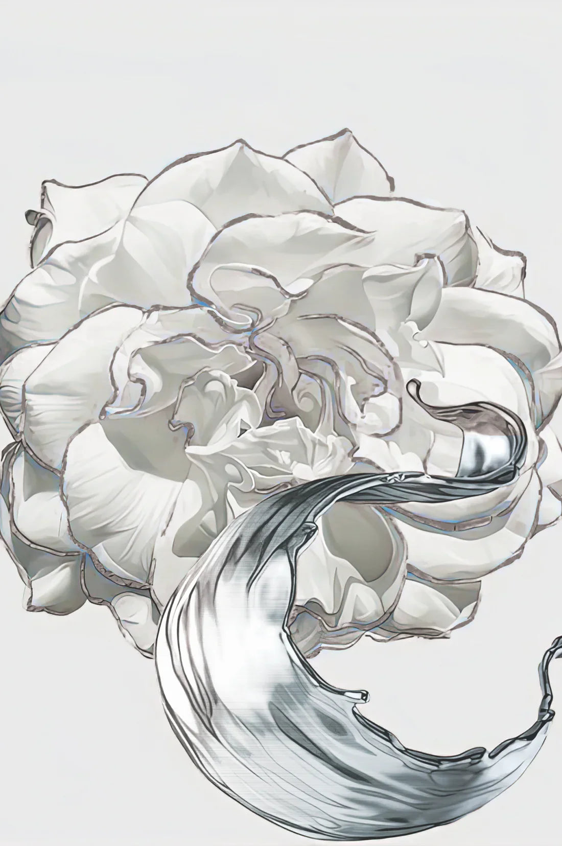 SULC-27 LETO White Rose With Silver Edge Modern Wall Art TG 5